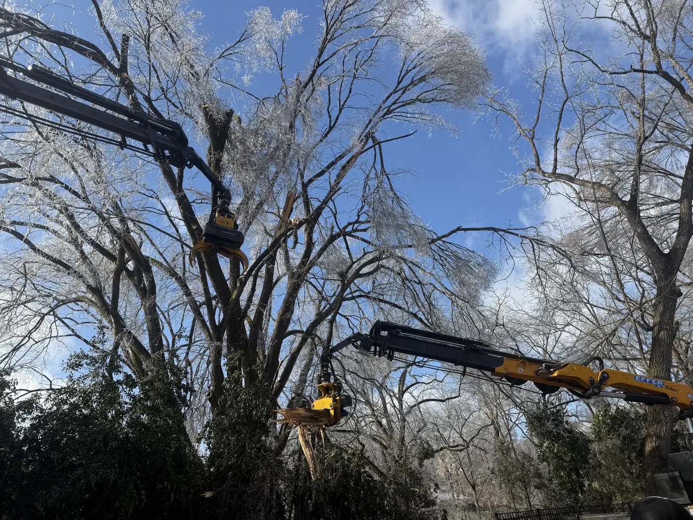 Smith Works grapple trucks removing ice-coated storm-damaged limbs from a large tree against a blue sky