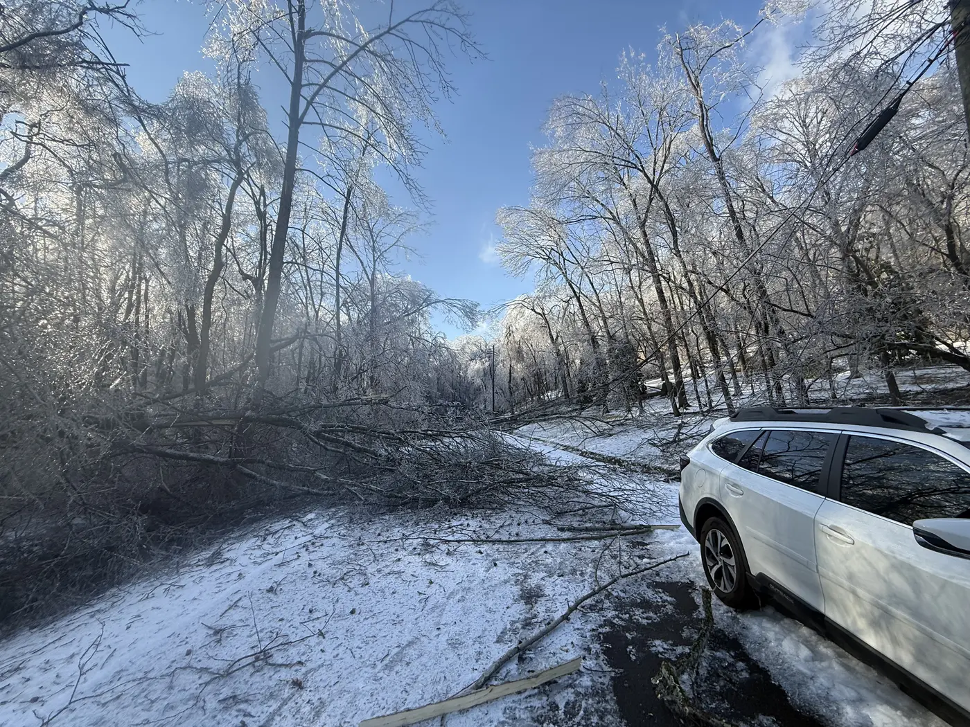 Downed, ice-covered trees blocking a snowy residential driveway next to a parked car after Winter Storm Fern