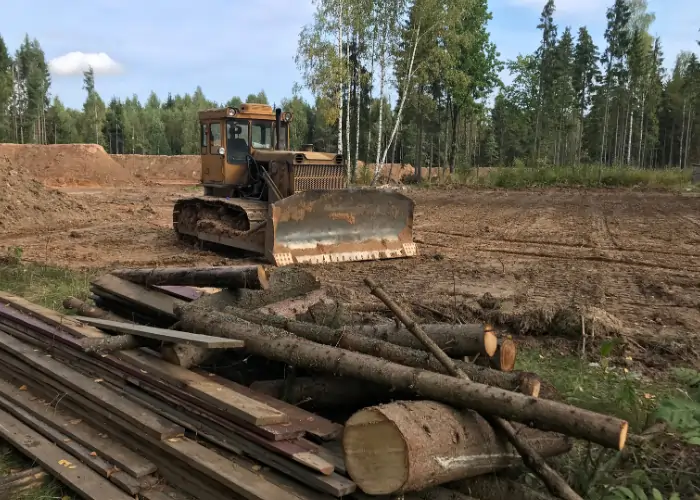 Clearing trees to prepare land for construction
