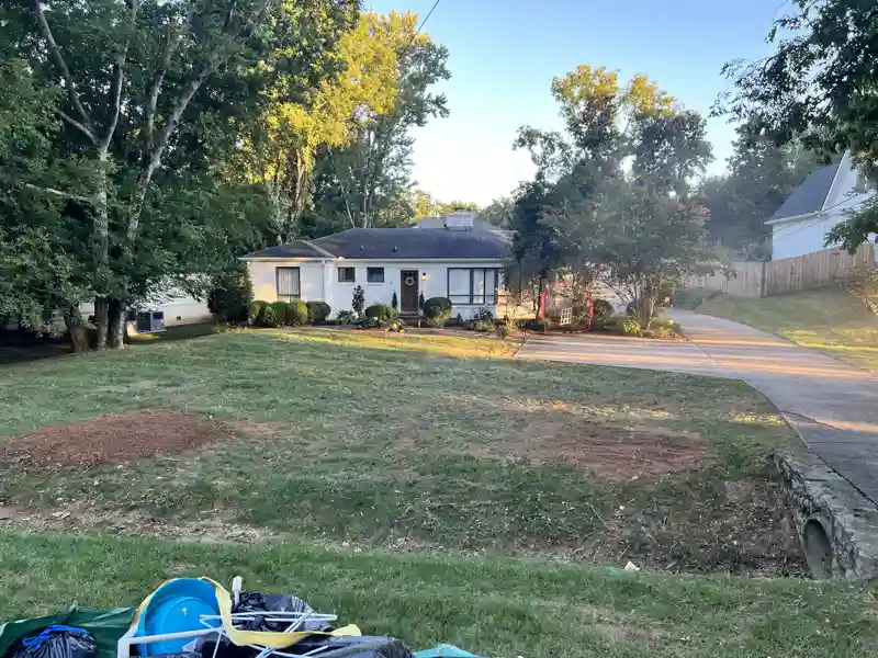 Land clearing and management service