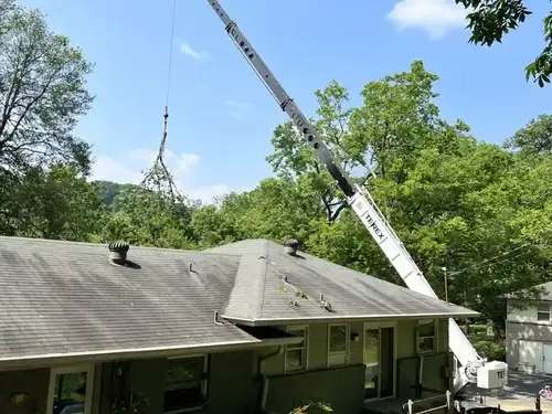Large tree removal over a house with crane