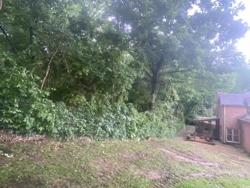Before land clearing - overgrown lot in Nashville