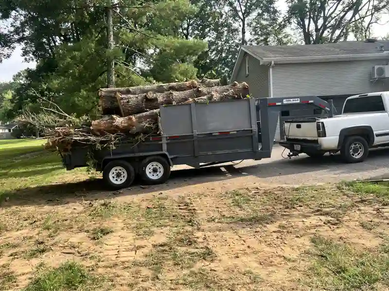 Tree removal service in Nashville