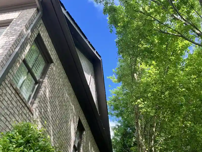 After tree trimming - house freed from branches